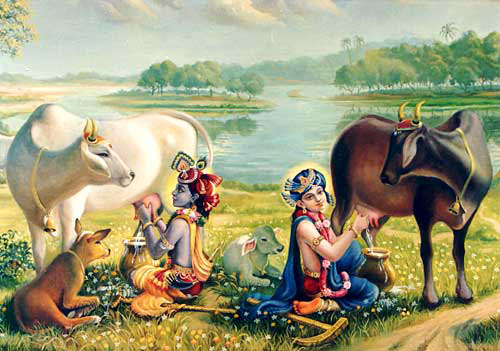 Krishna and Balarama Milking the Cows